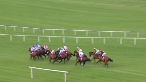 Video preview image for Punchestown 16:20 - Connolly's Red Mils Irish European Breeders Fund Auction Hurdle Series Final