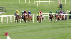 Video preview image for Punchestown 19:10 - Salessense International Novice Hurdle