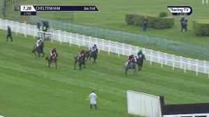 Video preview image for Cheltenham 19:20 - Gx Landrovers Mares' Open Hunters' Chase (4)