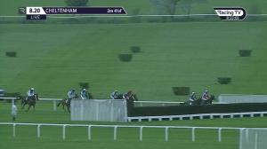 Video preview image for Cheltenham 20:20 - Junior Jumpers Open Hunters' Chase (5)