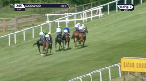 Video preview image for Goodwood 14:05 - Unibet EBF Daisy Warwick Fillies' Stakes (Listed) (1)