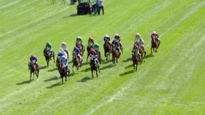 Video preview image for Punchestown 15:10 - Boylesports Handicap Chase