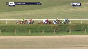 Video preview image for Goodwood 16:55 - Long View Handicap (5) (Div 1)