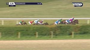 Video preview image for Goodwood 17:30 - Long View Handicap (5) (Div 2)