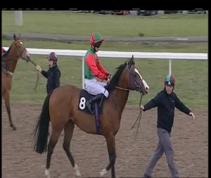 Video preview image for Chelmsford City 16:40 - Totepool Betting On All UK Racing Handicap