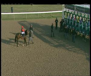 Video preview image for Chelmsford City 17:45 - Shires Performing Here 7th July Handicap