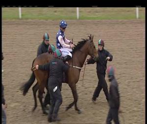 Video preview image for Chelmsford City 17:55 - Knight Group Maiden Stakes