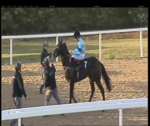 Video preview image for Chelmsford City 18:15 - Totepoolracing Tweet Us Your April Fools Maiden Stakes