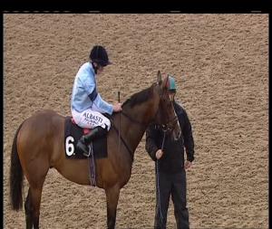 Video preview image for Chelmsford City 19:05 - Buxted Construction Ltd Conditions Stakes