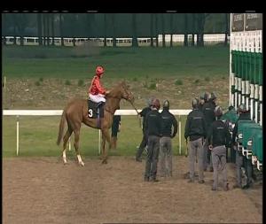 Video preview image for Chelmsford City 19:45 - Bookee Swipe Bet Done App Maiden Stakes