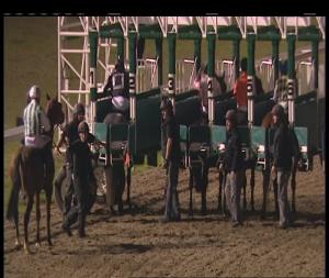 Video preview image for Chelmsford City 20:15 - Download Bookee In The App Store Handicap