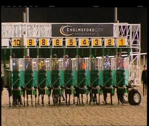 Video preview image for Chelmsford City 20:45 - Blue At Ladies Day 22nd June Handicap