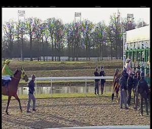 Video preview image for Chelmsford City 18:15 - Bet Exacta At totesport.com Handicap (6)