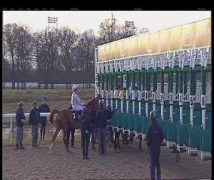 Video preview image for Chelmsford City 18:45 - Bet Quadpot At totesport.com Novice Stakes (5)