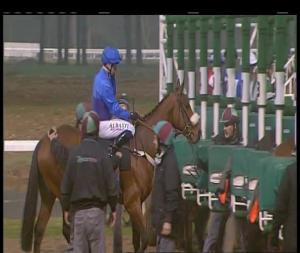 Video preview image for Chelmsford City 19:15 - Bet Trifecta At totesport.com Handicap (2)