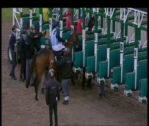 Video preview image for Chelmsford City 19:35 - Betsi Conditions Stakes (2)