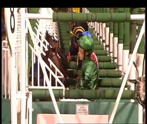 Video preview image for Chelmsford City 20:35 - Mayor Of Chelmsford Handicap (4)