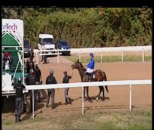 Video preview image for Chelmsford City 13:20 - East Coast Ipa Novice Stakes (3)