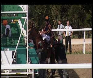 Video preview image for Chelmsford City 14:20 - Abbot Ale Handicap (5)