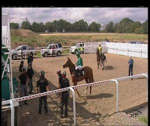 Video preview image for Chelmsford City 14:50 - Greene King Ipa Charlotte Fillies' Conditions Stakes (2)