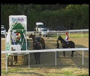 Video preview image for Chelmsford City 18:10 - Prb Estates Ltd Nursery Handicap (6)