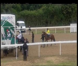 Video preview image for Chelmsford City 18:20 - Toteexacta Novice Stakes (4)