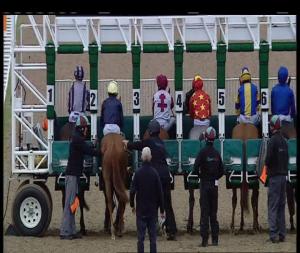 Video preview image for Chelmsford City 19:20 - Totetrifecta Fillies' Handicap (3)