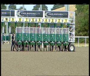 Video preview image for Chelmsford City 13:10 - Bet Toteplacepot At totesport.com Fillies' Novice Stakes (4)