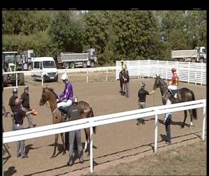 Video preview image for Chelmsford City 13:30 - Bet Toteplacepot At totesport.com Maiden Fillies' Stakes (4)