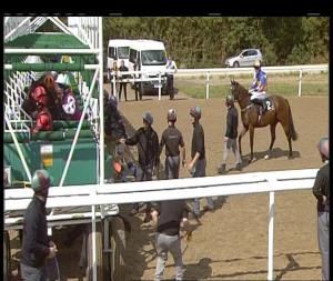 Video preview image for Chelmsford City 13:55 - Bet Toteexacta At totesport.com Nursery Handicap (6)