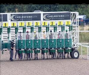 Video preview image for Chelmsford City 14:00 - £20 Free Bets At totesport.com Median Auction Maiden Stakes (4)