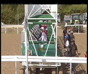 Video preview image for Chelmsford City 14:05 - Bet Toteexacta At totesport.com Handicap (5)