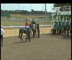 Video preview image for Chelmsford City 14:10 - Bet Totequadpot At totesport.com Handicap (3)