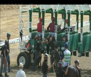 Video preview image for Chelmsford City 14:45 - Bet Totetrifecta At totesport.com Handicap (2)