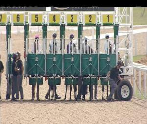 Video preview image for Chelmsford City 15:30 - Irish Lotto At totesport.com Handicap (2)