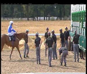 Video preview image for Chelmsford City 16:00 - Bet In Play At totesport.com Selling Handicap (6)