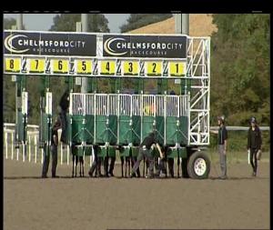 Video preview image for Chelmsford City 16:00 - Old Golden Hen Handicap (2)