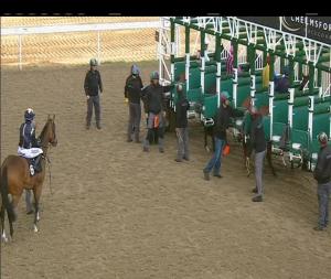 Video preview image for Chelmsford City 16:10 - Bet Totescoop6 At totesport.com Fillies' Handicap (3)