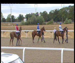 Video preview image for Chelmsford City 16:25 - Bet Totescoop6 At totesport.com Handicap (4)