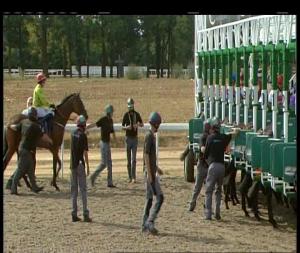 Video preview image for Chelmsford City 16:30 - Razorlight Here Friday 10th August Handicap (6) (Div 1)