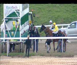 Video preview image for Chelmsford City 16:40 - Hacienda Classical 1st September Handicap (4)