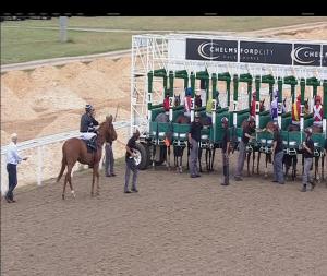 Video preview image for Chelmsford City 17:00 - Hacienda Classical Here 1st September Handicap (6)