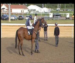 Video preview image for Chelmsford City 17:50 - Bet Toteplacepot At totesport.com Novice Stakes (4)