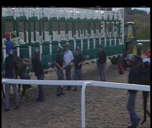 Video preview image for Chelmsford City 17:55 - £20 Free Bets At totesport.com Nursery Handicap (5)