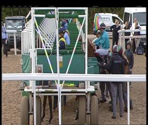 Video preview image for Chelmsford City 18:20 - Bet Toteexacta At totesport.com Maiden Auction Stakes (4)