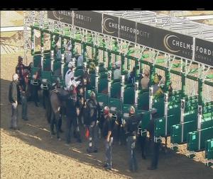 Video preview image for Chelmsford City 18:25 - Totepool Cashback Club At totesport.com Novice Auction Stakes (4)