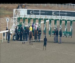 Video preview image for Chelmsford City 19:00 - Extra Places At totesport.com Nursery Handicap (4)