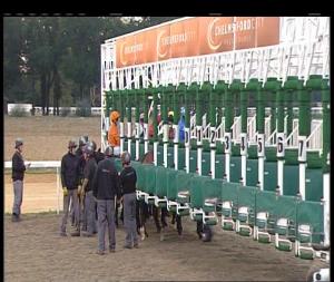 Video preview image for Chelmsford City 19:20 - Bet Toteswinger At totesport.com Handicap (6)