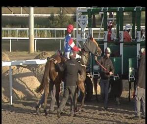 Video preview image for Chelmsford City 19:30 - Irish Lotto At totesport.com Handicap (3)