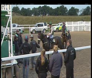 Video preview image for Chelmsford City 19:45 - Bet In Play At totesport.com Fillies' Handicap (3)